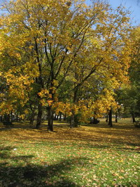 Krakowskie parki  - najpikniejsze miejsca, fotogaleria  ||www.blue-world.pl || kunass2 ||